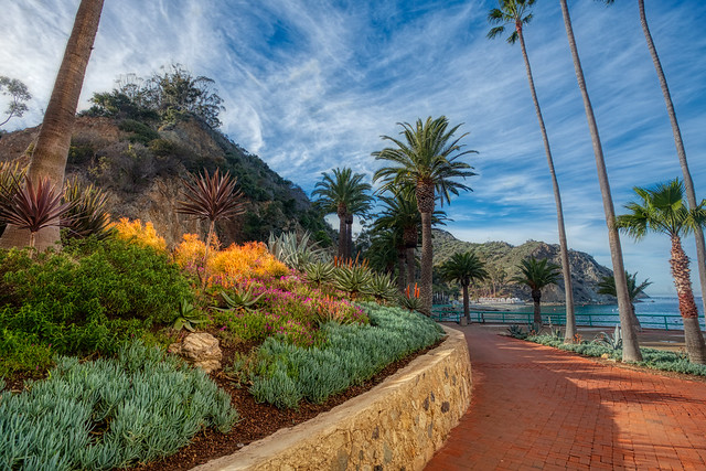 Catalina Island: Best place to take photos of Avalon California, Wildsight Photography