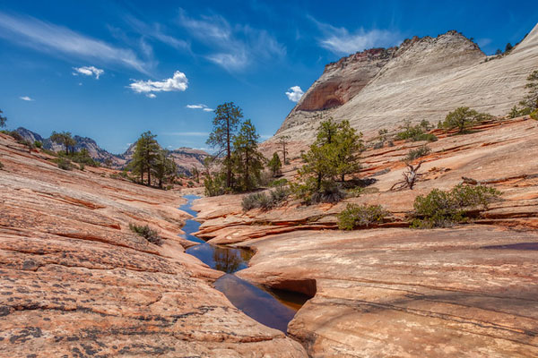 Zion National Park: Best Photo Spots on Easy & Difficult Hikes by Wildsight Photography. Many Pools trail