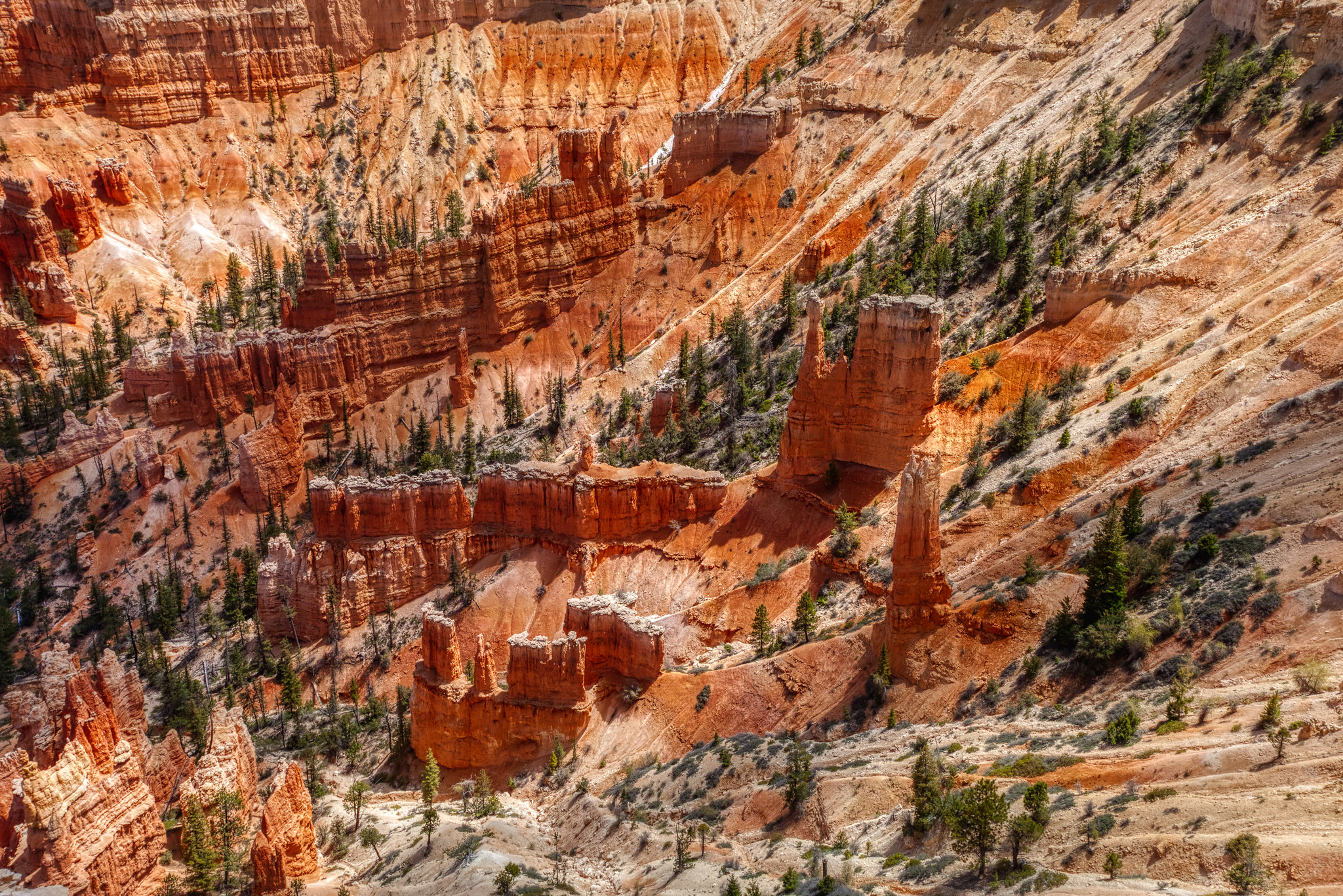 Bryce Canyon National Park: Taking Photos of Utah’s Hoodoos